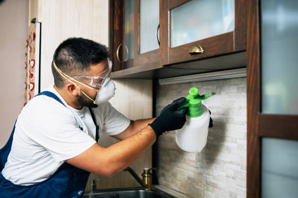 Best Best Pest Control Companies  in Sylvania, GA